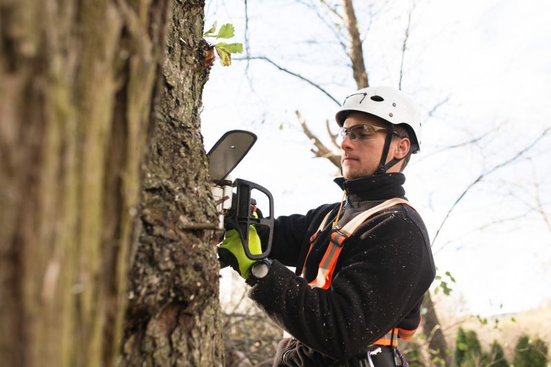 Products For Repair Arborses in use