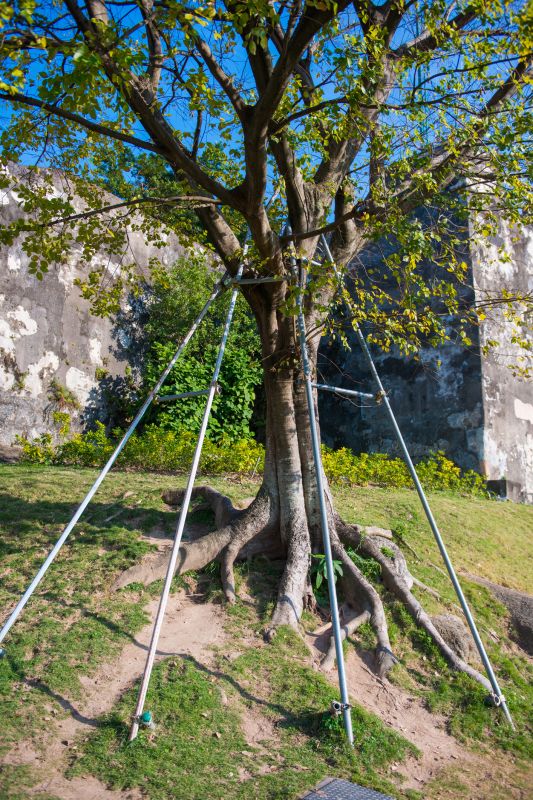 Reinforcing Structural Stability